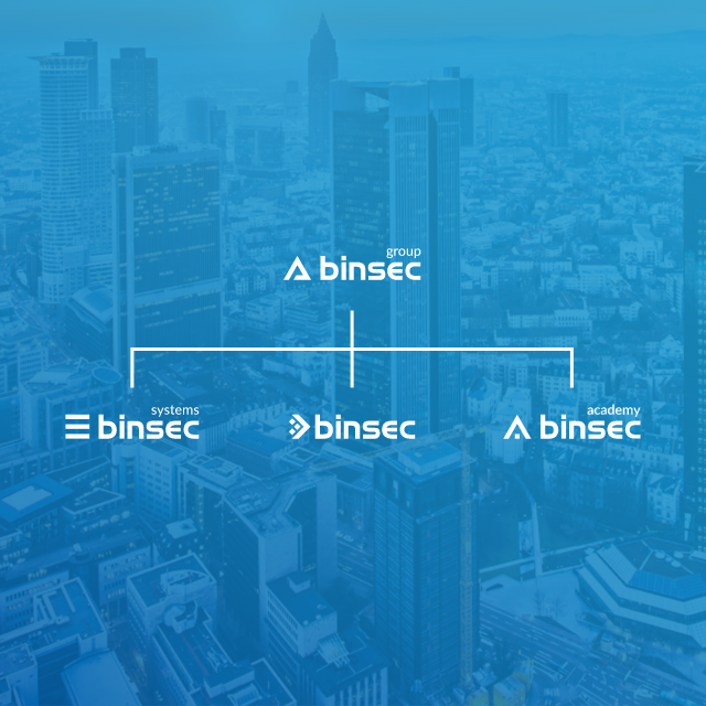 Scale Up Brand Design binsec