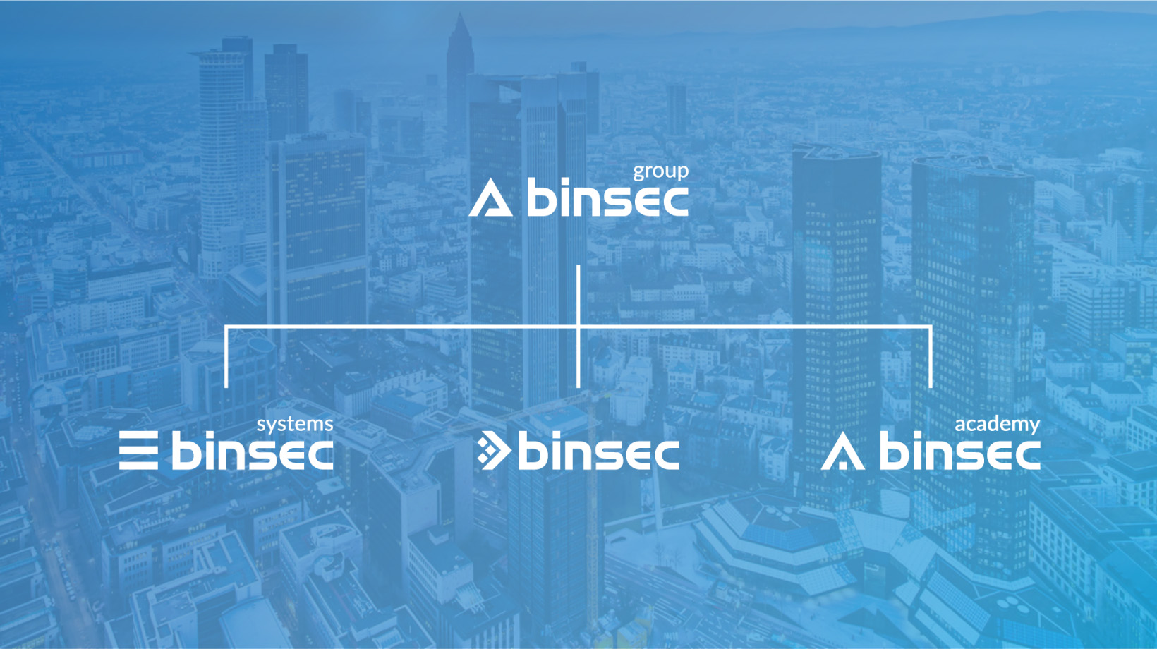 Logo Redesign für Dachmarke und Subbrands für eine IT-Unternehmen